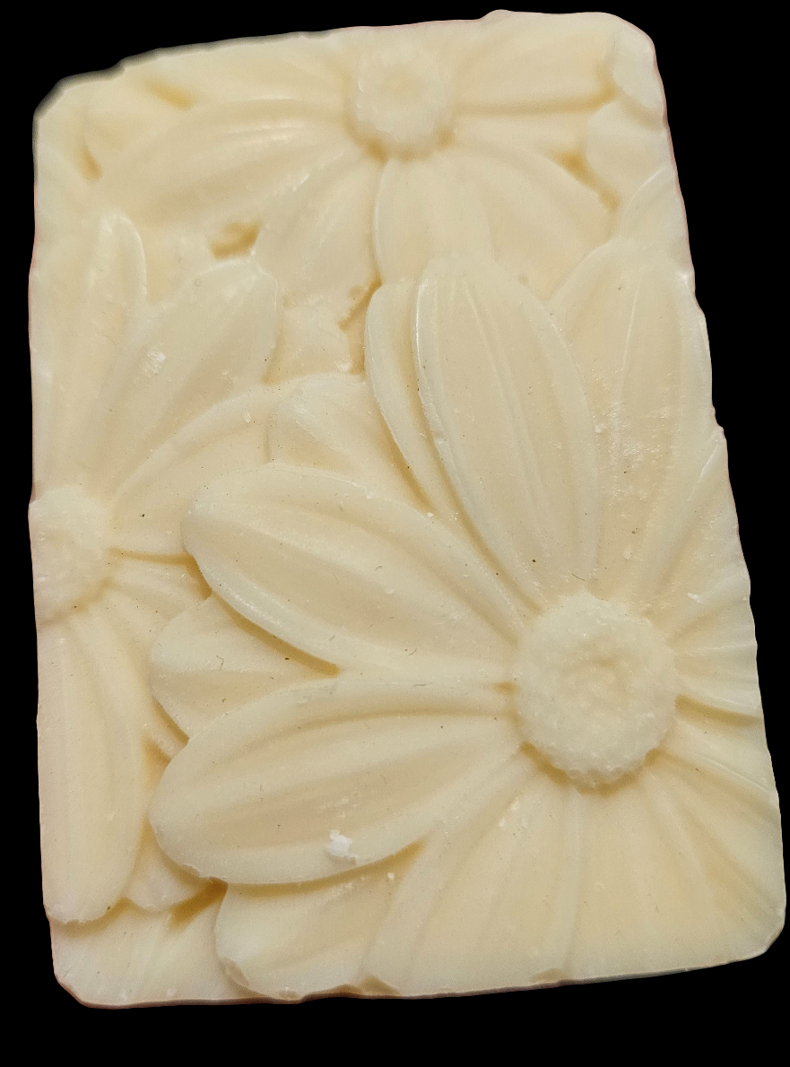 Shampoo Bar