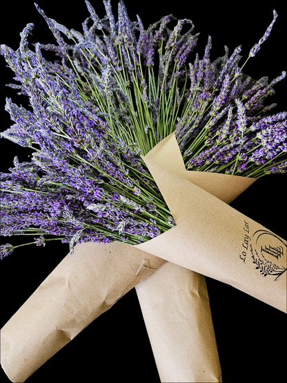 Dried Phenomenal Lavender