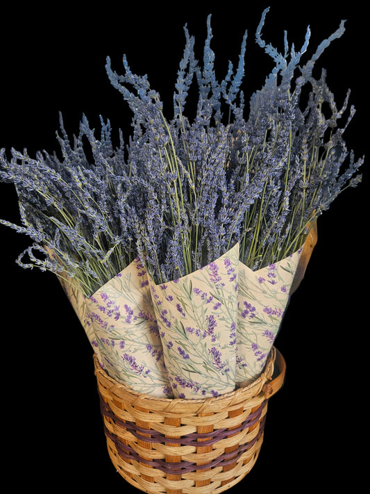 Dried Phenomenal Lavender