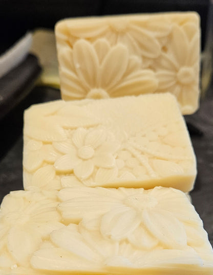Shampoo Bar